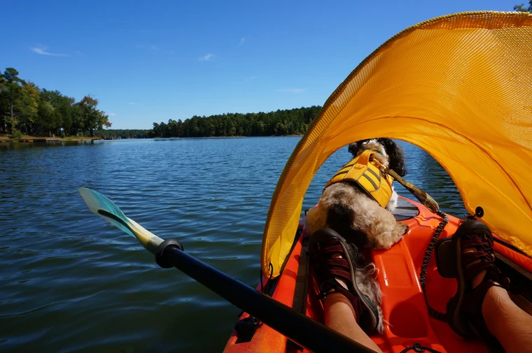 How To Build A Dog Kayak Sidecar? - Softback Travel