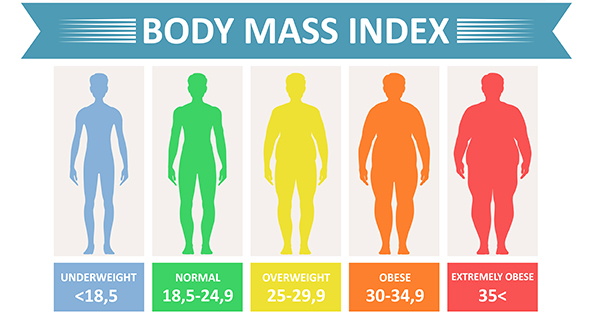 How Does BMI Index Work?