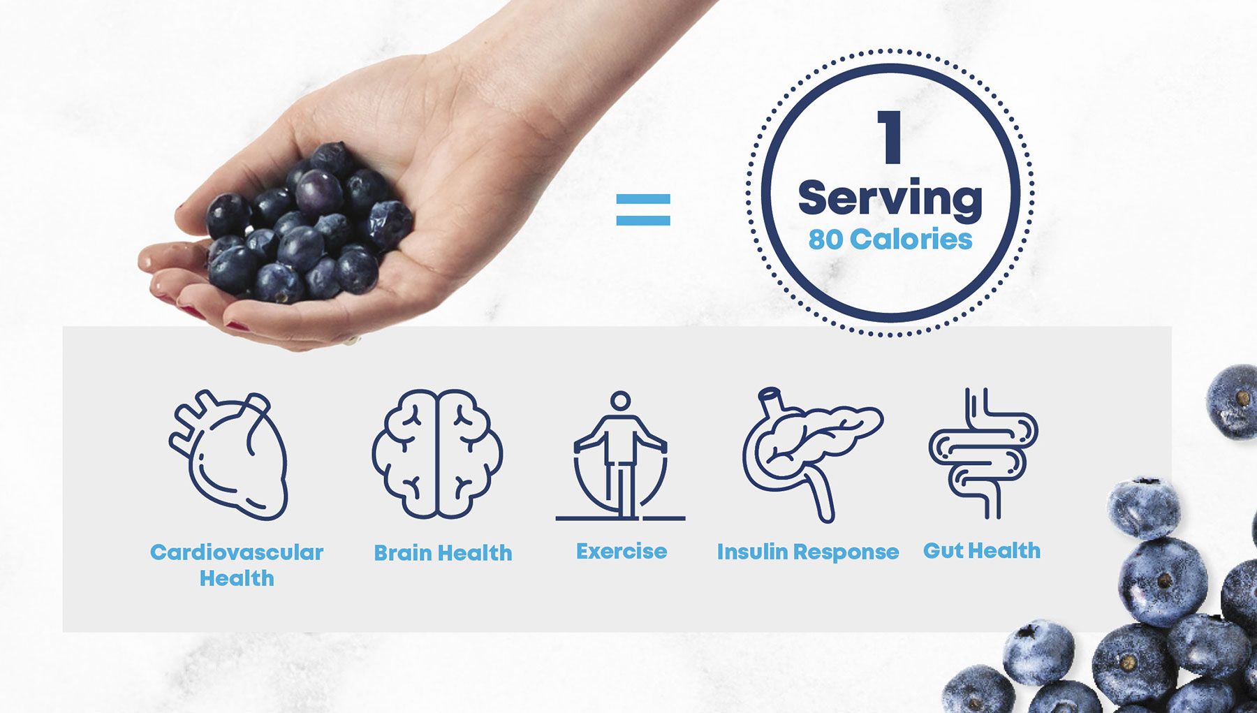 Health Benefits And Facts Of Blueberries Nutrition 