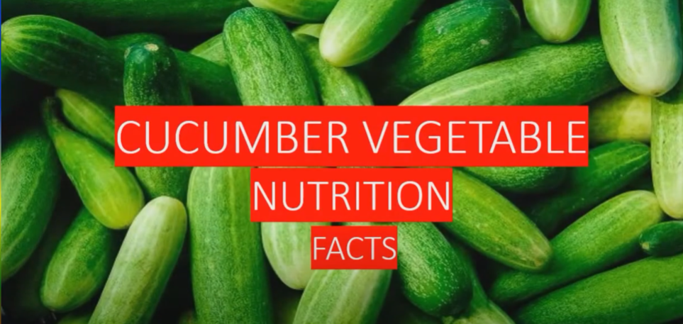 Cucumber Nutrition Facts 