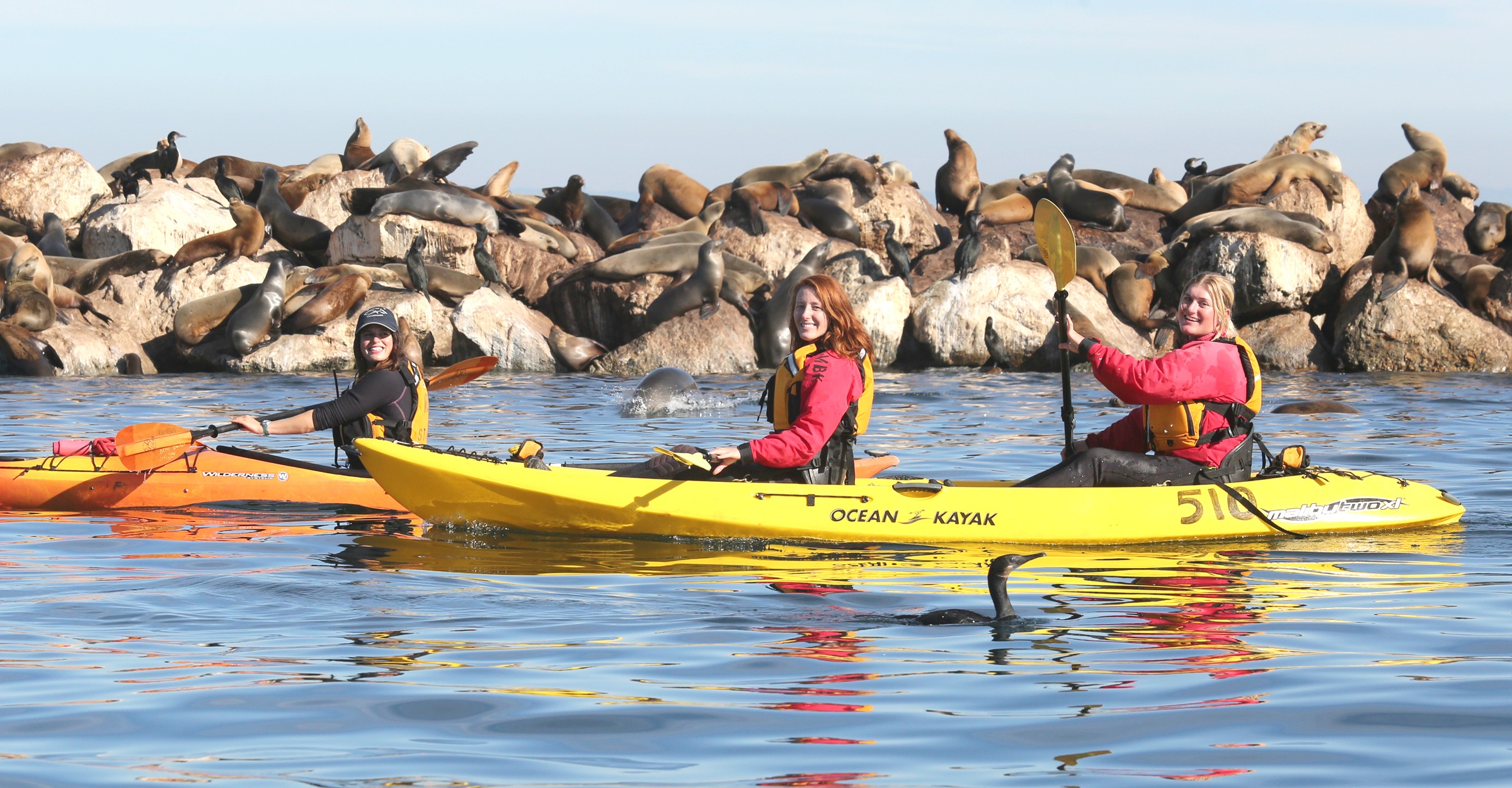 Kayaking Monterey Bay: Things to Know Before You Go