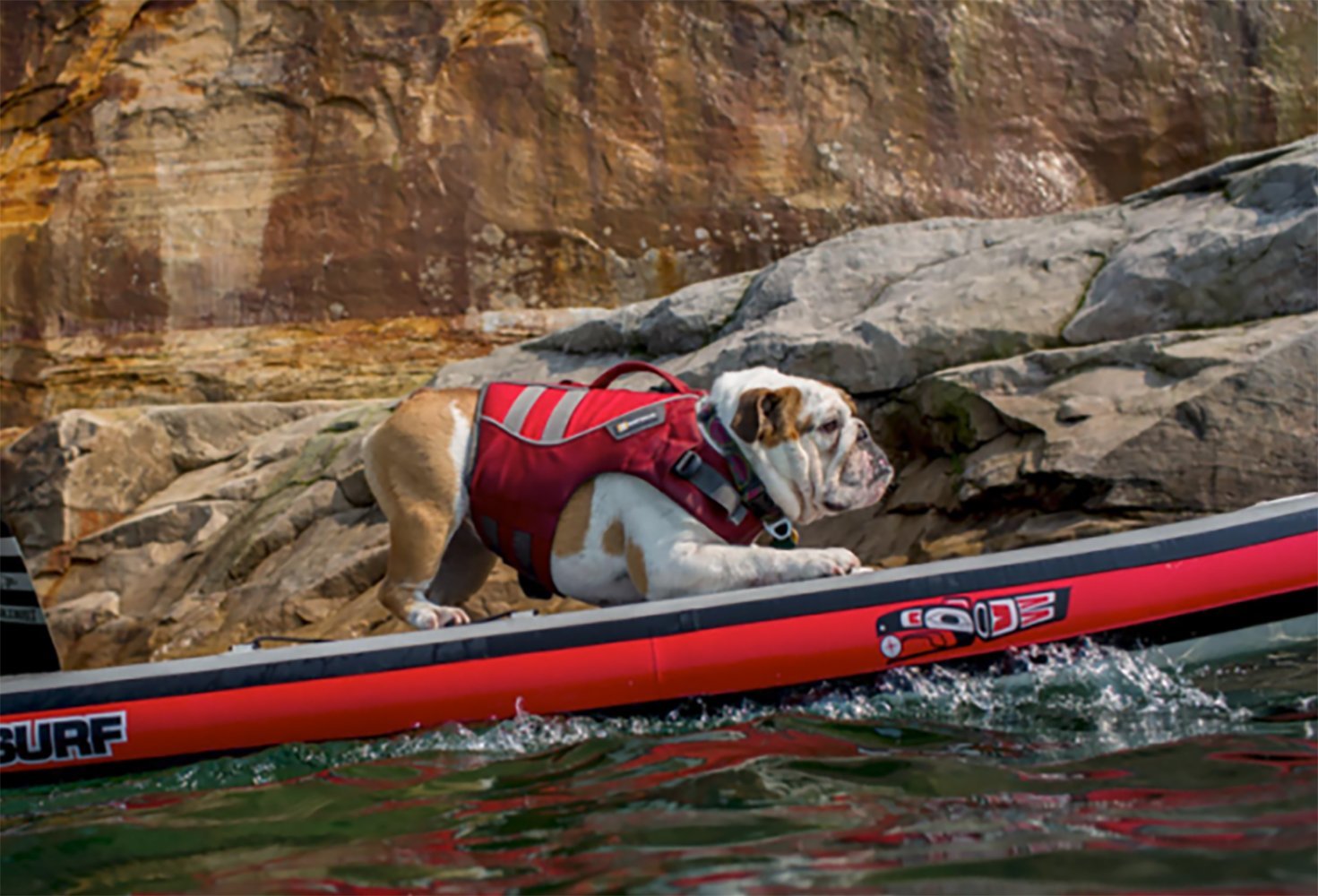 Dog on Board – Dog Platform – STABLE KAYAKS AND MICROSKIFFS MADE