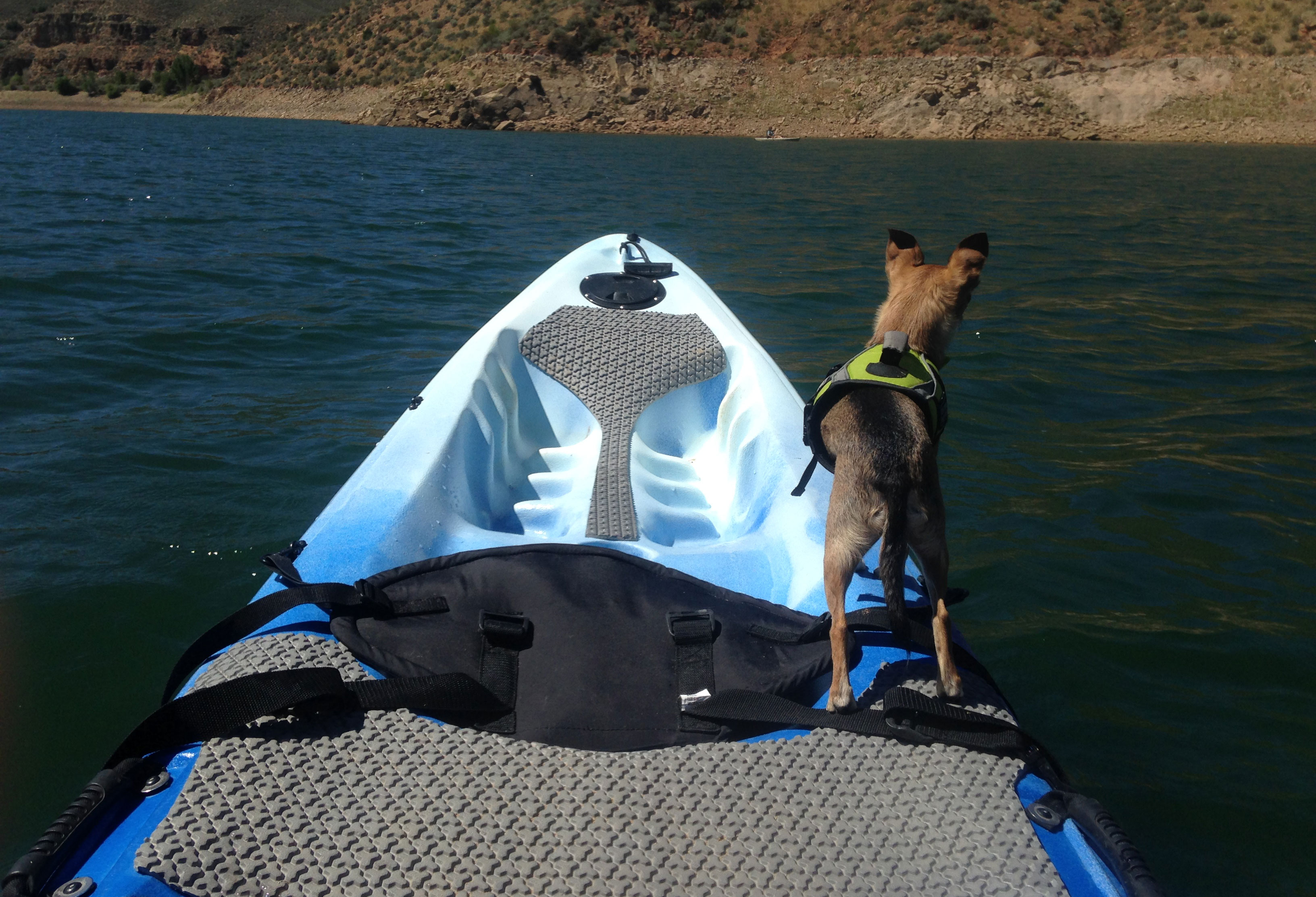 Kayak Dog Platforms: Adventure Companion for Your Pup