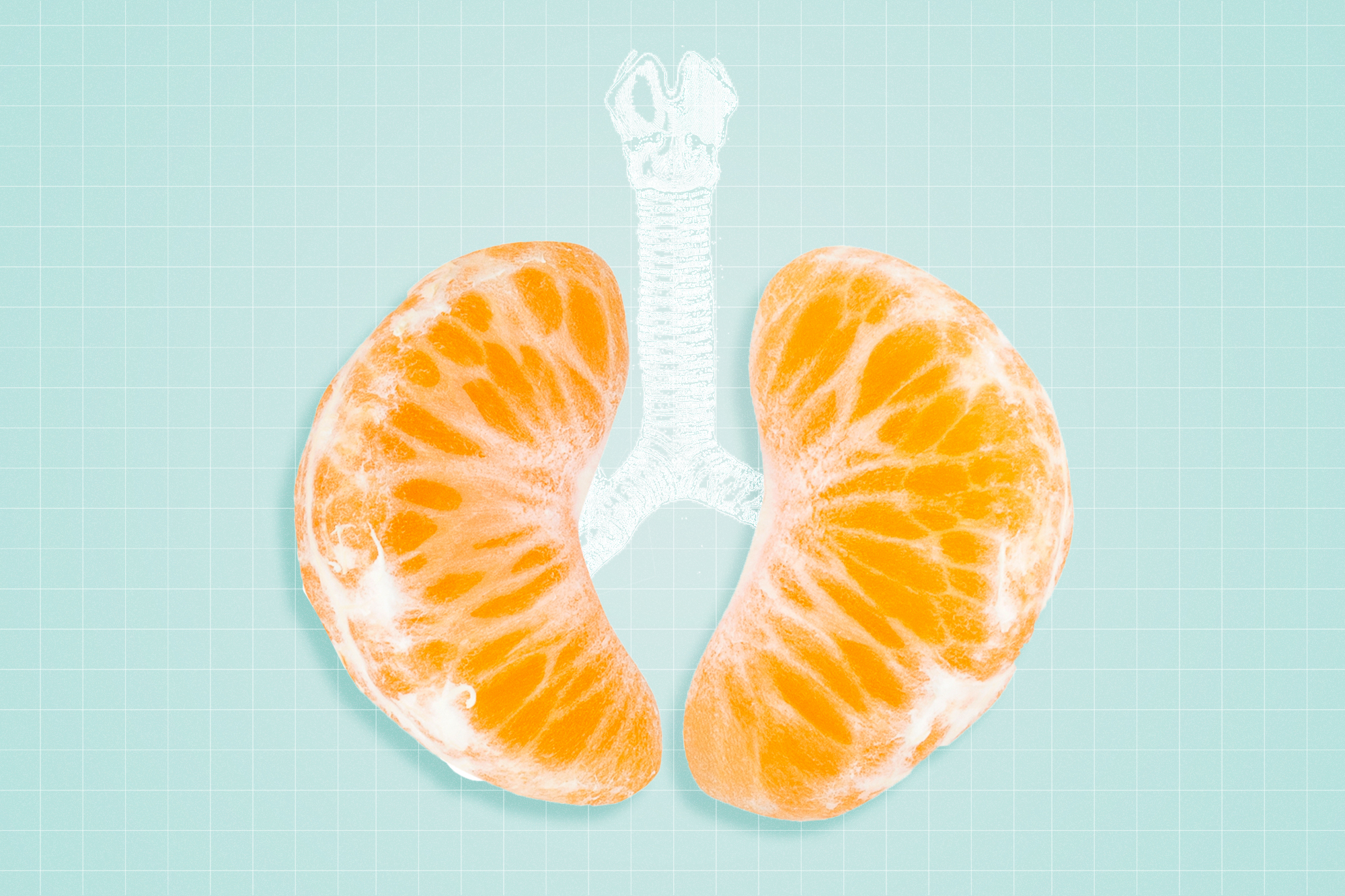 Here is the Best Food Good For Lungs, Number 5 Will Shock You