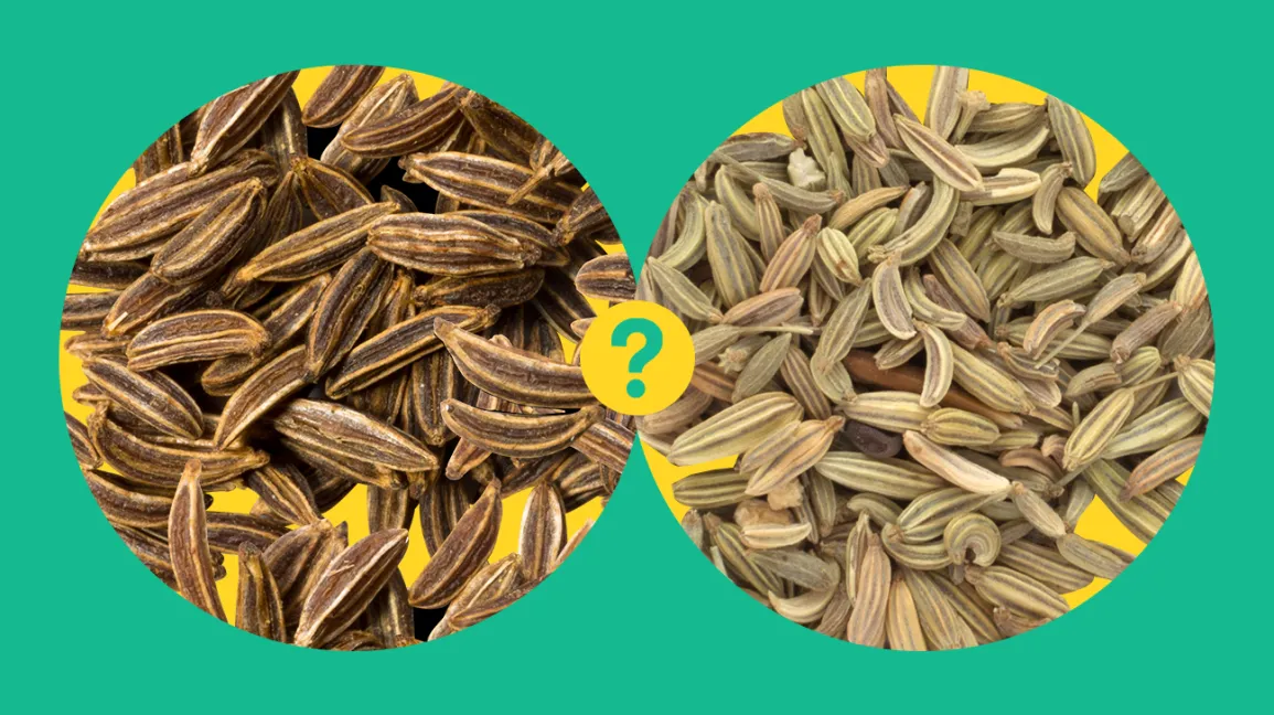 Anise Vs Fennel & How To Tell The Difference Between Them